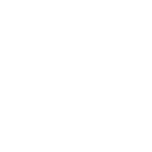 Termite Icon